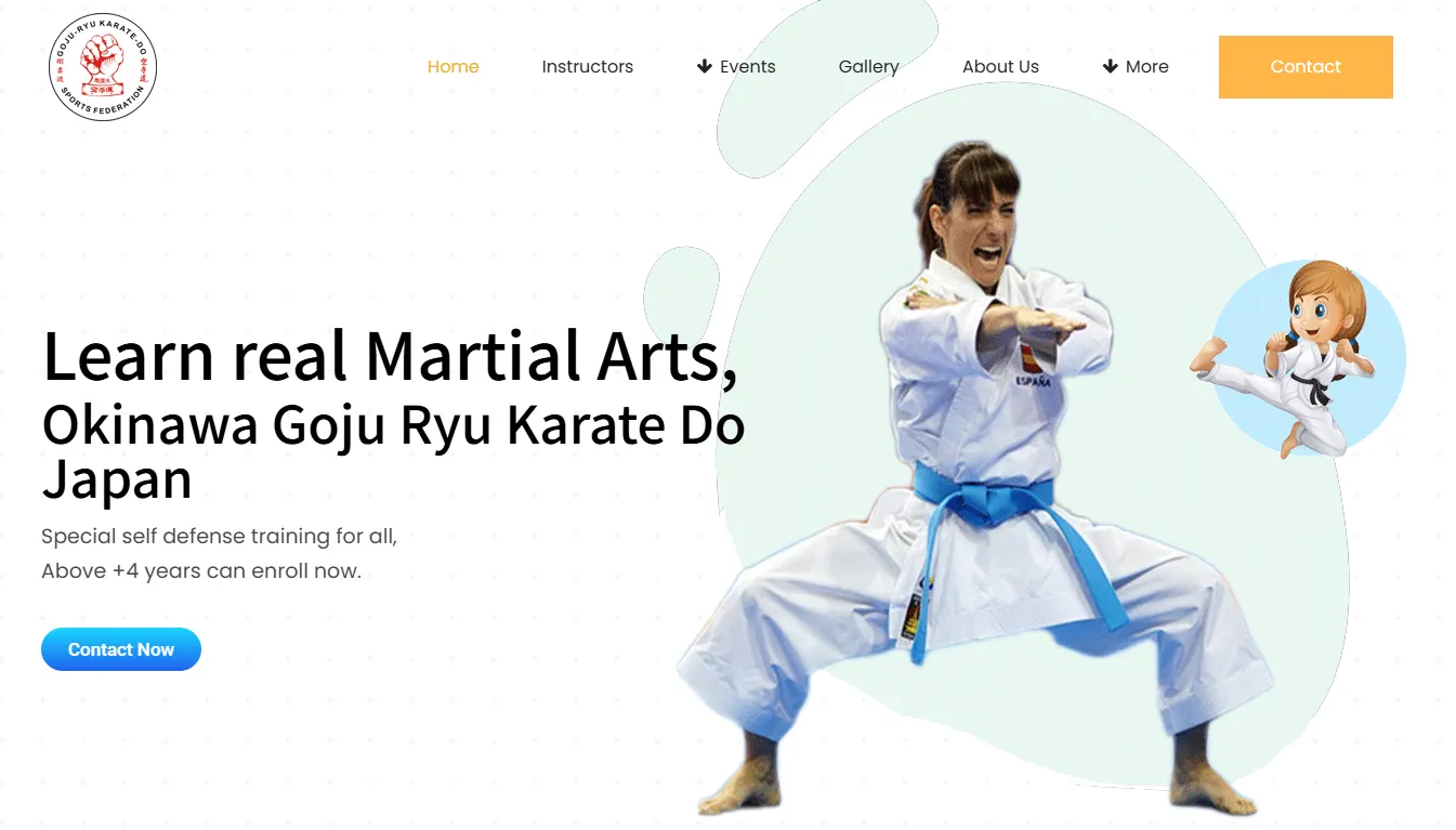 International Karate